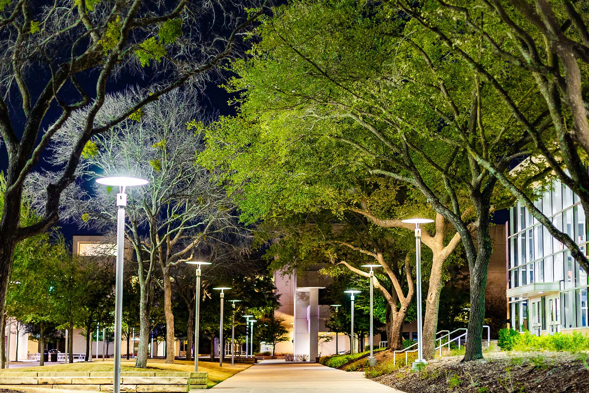 campus mall at night